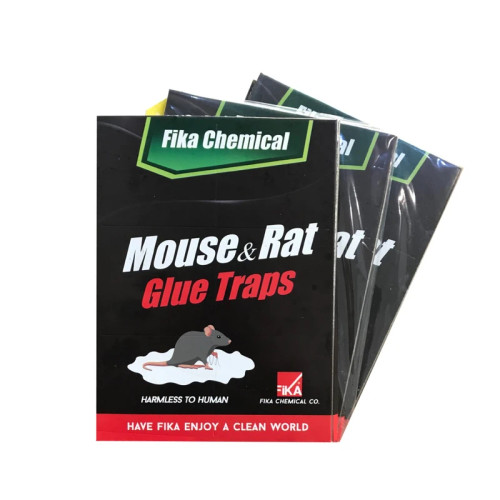 چسب موش کتابی